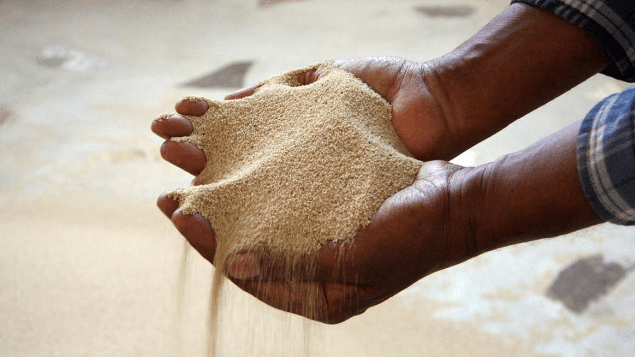 ¿Qué es el teff y la Injera?