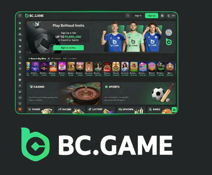 Maximize Your Wins A Comprehensive Guide to BC.Game Bonuses and Promo Codes